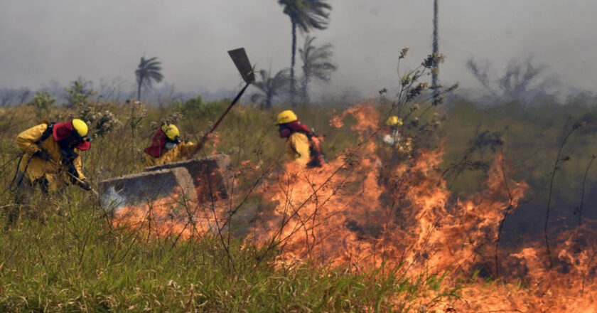 Bolivia amanece con 1.624 focos de calor y bomberos sofocan incendios en tres departamentos