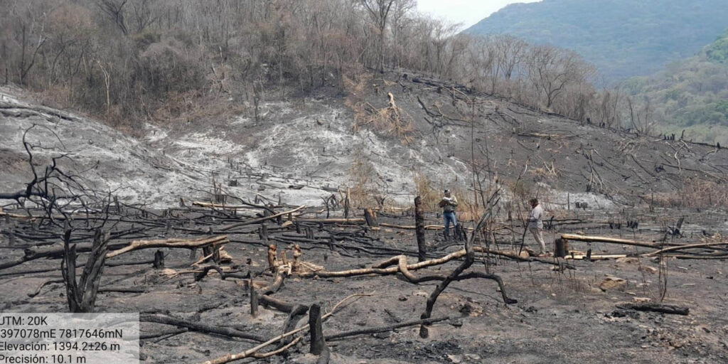 INCENDIOS