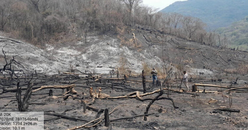 Los incendios en el país bajan de 21 a 10 con presencia en tres regiones