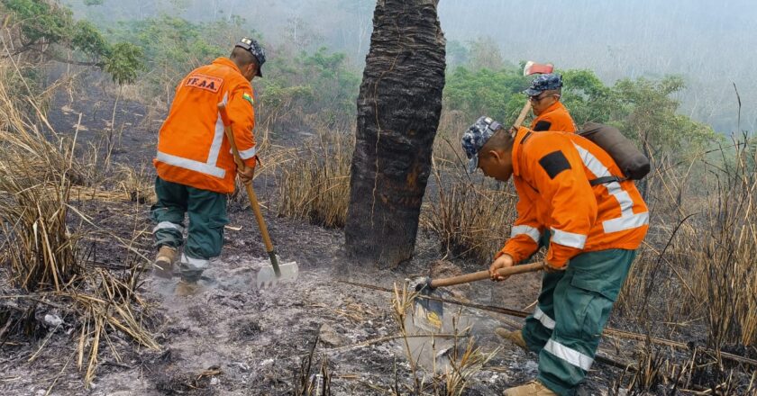 Incendios en Santa Cruz fueron sofocados, policías capturarán a quienes inicien nuevas quemas