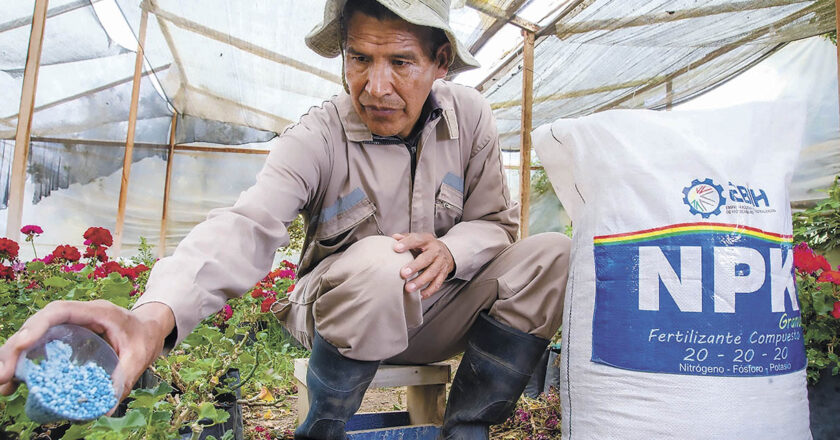 En 3 años de gestión El Gobierno de la industrialización de Arce rinde primeros frutos