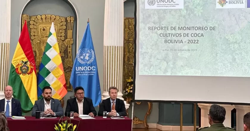 Bolivia reduce en un 2% cultivos de coca entre 2021 y 2022