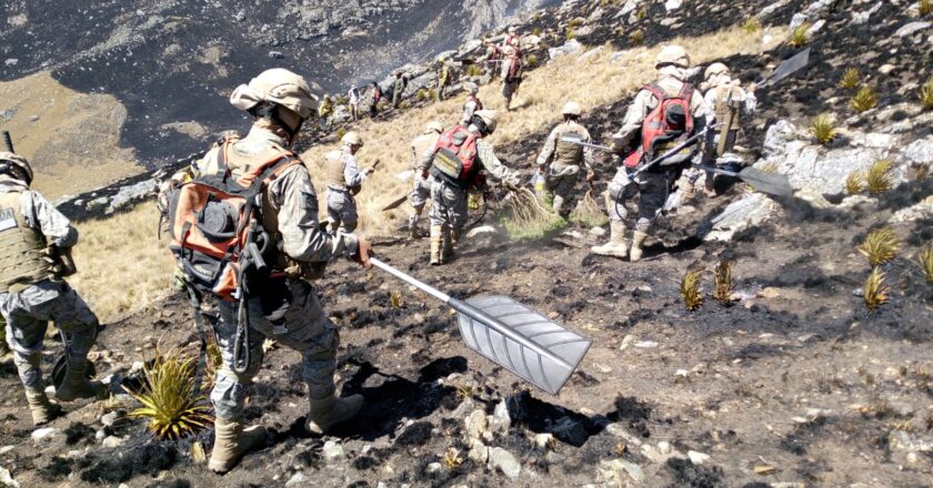 Incendios en el país están “completamente controlados”, asegura Defensa Civil