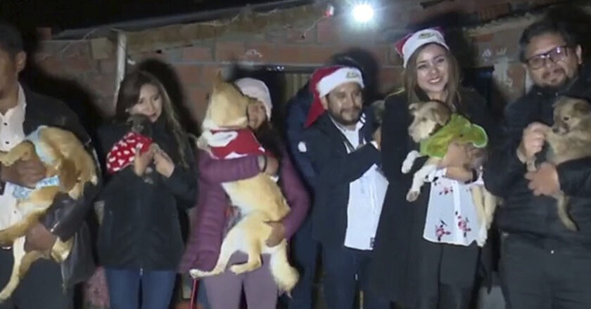 Alcón destaca la ayuda a los animales de calle en una visita a un albergue