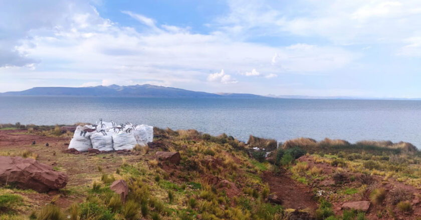 Aves afectadas por derrame de aceite mueren por hipotermia en el Titicaca