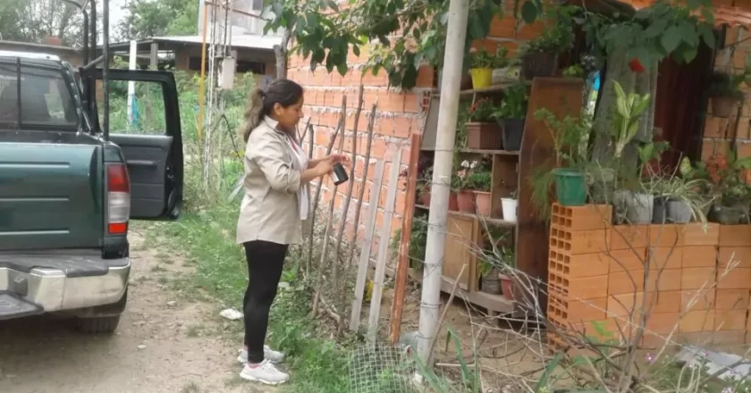 Salud realiza la vigilancia de los mosquitos transmisores del dengue en cuatro municipios del país