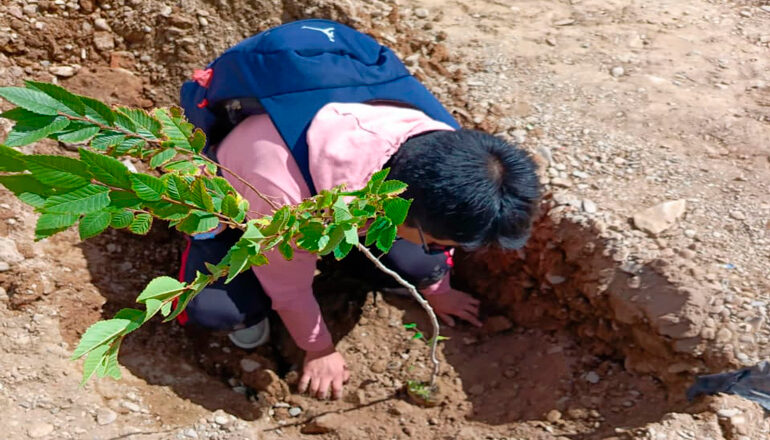 Plan de Forestación: Fiscalía de Oruro realizó la plantación de 125 arbolitos en la zona de la Terminal