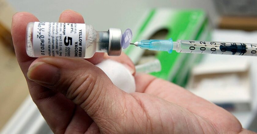Instan a la población a vacunarse contra la fiebre amarilla, dosis disponible gratuitamente en todo el país
