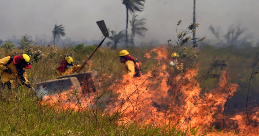 Defensa Civil registra “incremento paulatino” de focos de calor con 3.423 y advierte que 42 municipios podrían sufrir incendios