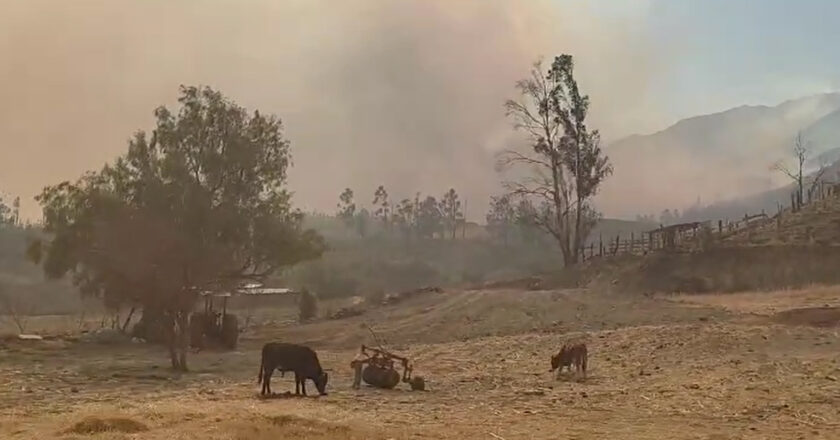 Defensoría exige acción urgente para controlar incendios forestales