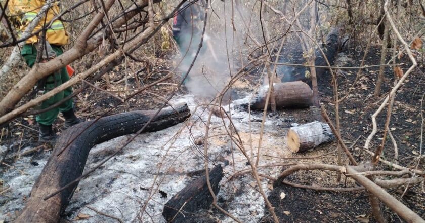 Tras la declaratoria de desastre, la CAO pide una estrategia conjunta para combatir los incendios