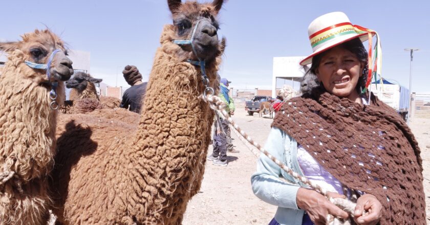 Perú destaca el legado cultural de Bolivia en la gestión de camélidos y saberes ancestrales