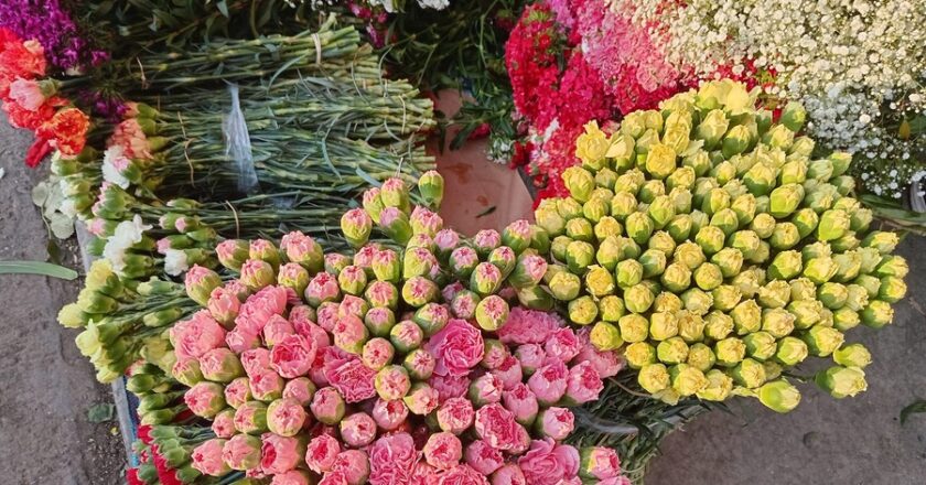 Floricultores de Cochabamba se declaran en emergencia por bloqueo de evistas, 8.000 familias están afectadas