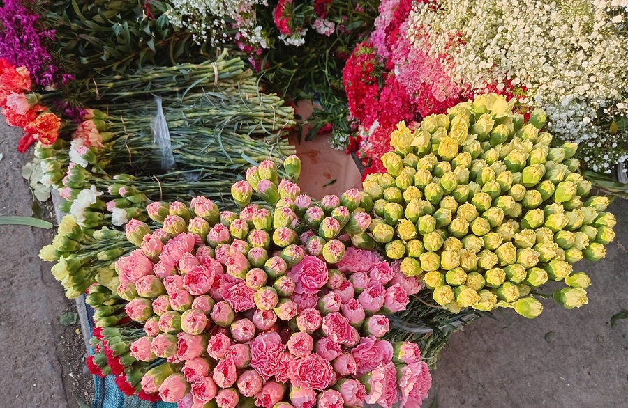 FLORICULTORES