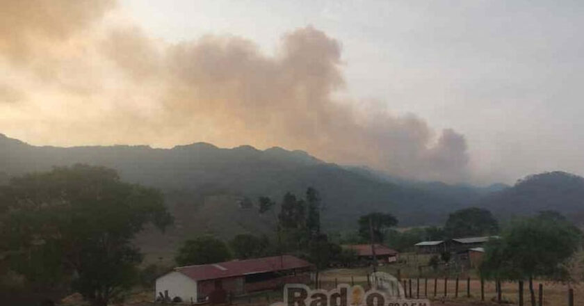 Incendios forestales arrasan la serranía del Iñau, piden auxilio desde Muyupampa